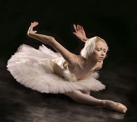 Won't someone find me a dying swan to save?? Found at: https://metroballet1.netfirms.com/archive/2005Season/works/dyingswan.htm